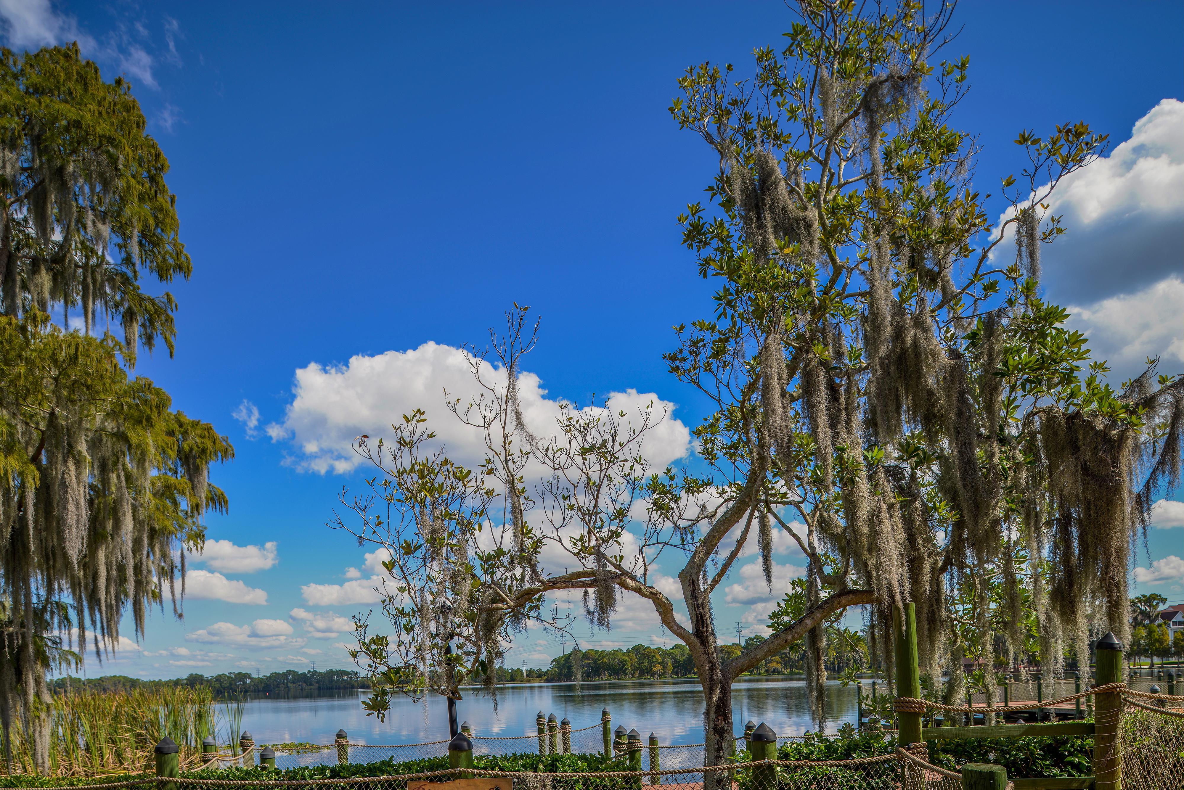 Bryan'S Spanish Cove Lake Buena Vista Extérieur photo